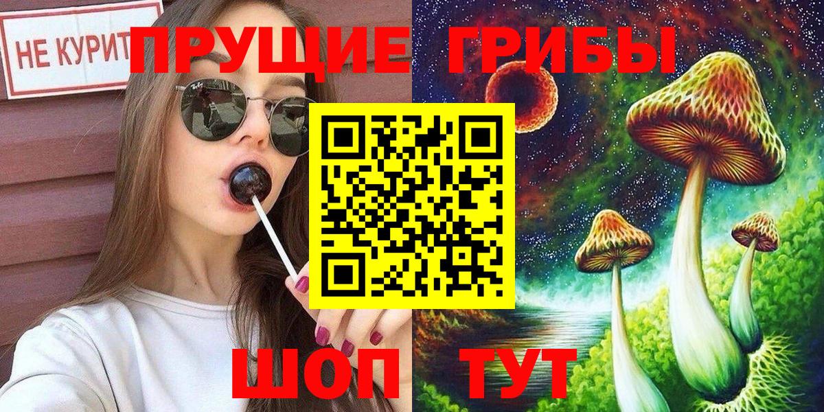 Галлюциногенные грибы прущие грибы  Вход с VPN  Горячий Ключ 